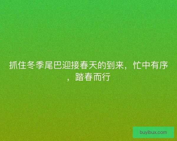 抓住冬季尾巴迎接春天的到来，忙中有序，踏春而行