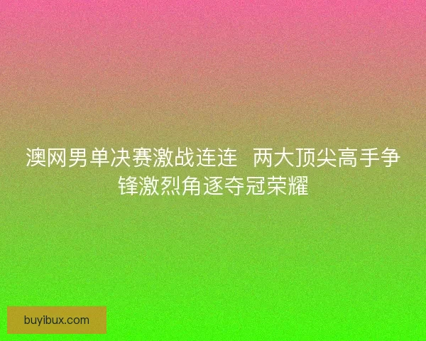 澳网男单决赛激战连连  两大顶尖高手争锋激烈角逐夺冠荣耀