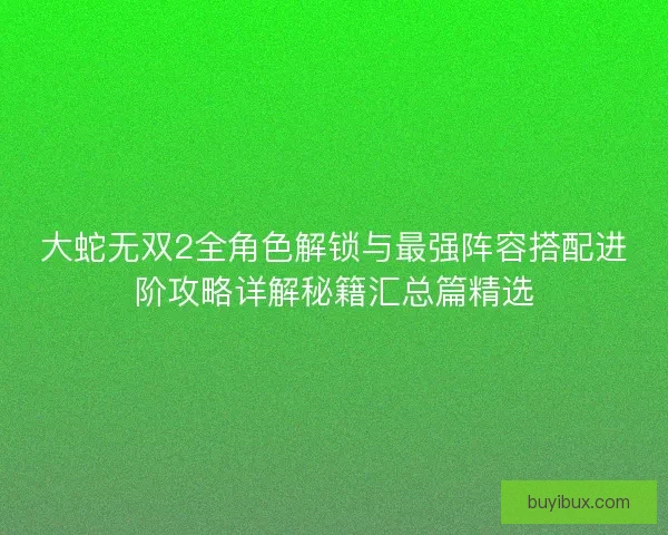大蛇无双2全角色解锁与最强阵容搭配进阶攻略详解秘籍汇总篇精选